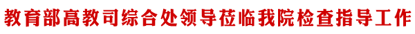 教育部高教司领导莅临我院检查指导工作
